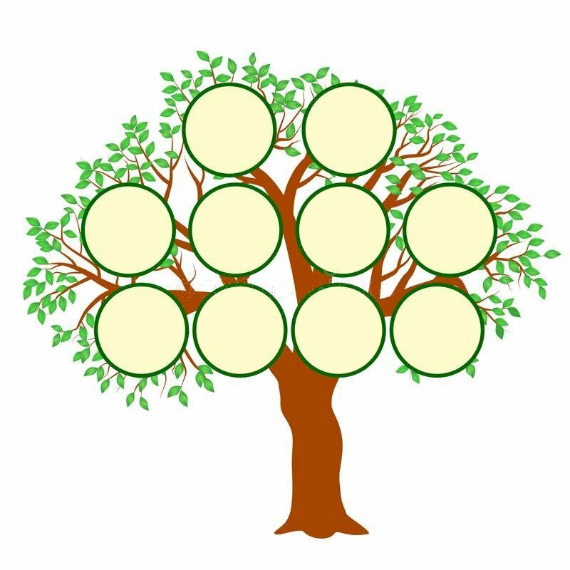 Vẽ sơ đồ tư duy hình cây xanh vô cùng đơn giản - MathMap Academy | Học Viện Toán Sơ Đồ 2024